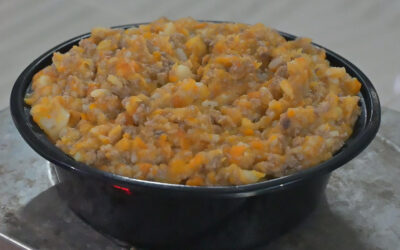 gas-pet-food-kottayam