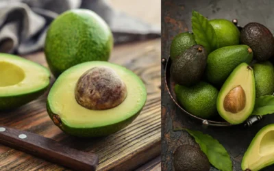AVOCADO-FRUIT-PLANTING-BENIFITS-MALAYALAM