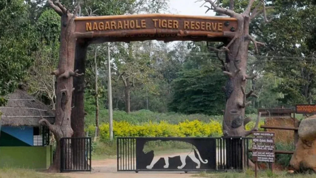 BANDIPUR-NAGARHOLE-SAFARI-NEW-TIMINGS