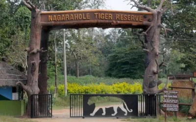 BANDIPUR-NAGARHOLE-SAFARI-NEW-TIMINGS