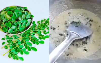 Drumstick-leaves-with-curd-curry