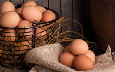 EGG-GOOD-OR-BAD-FOR-LADIES