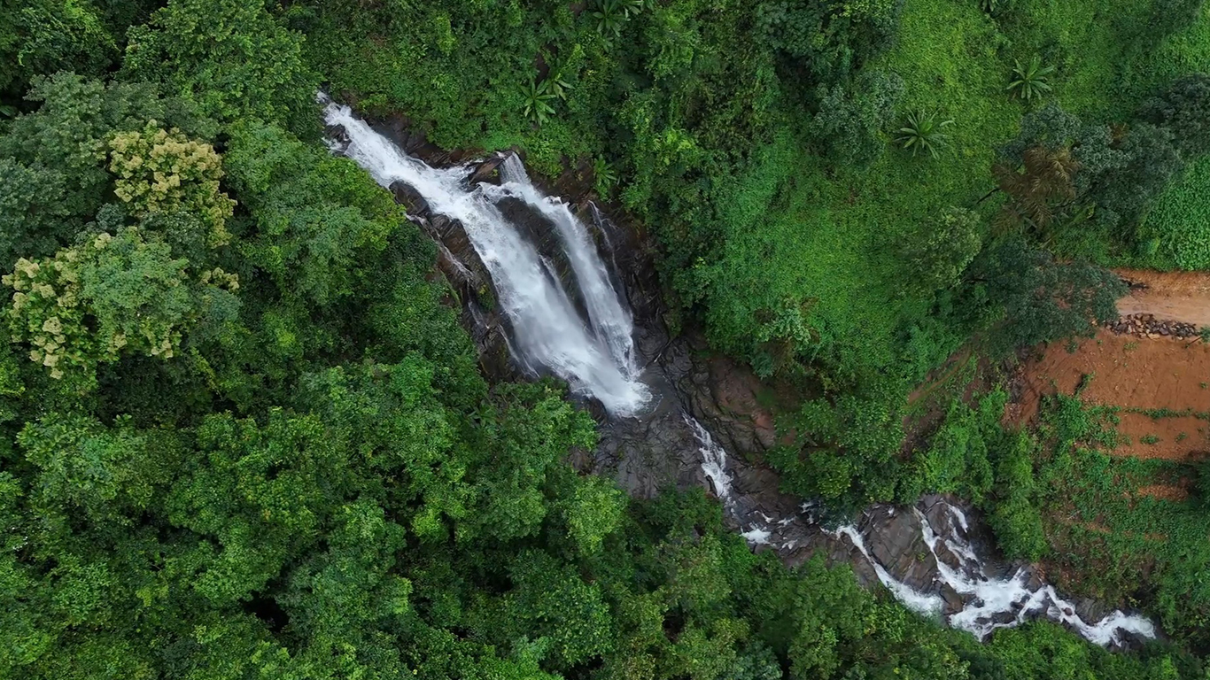 kerala-waterfalls-travel-story