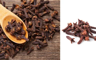 CLOVE-BENIFITS-MALAYALAM