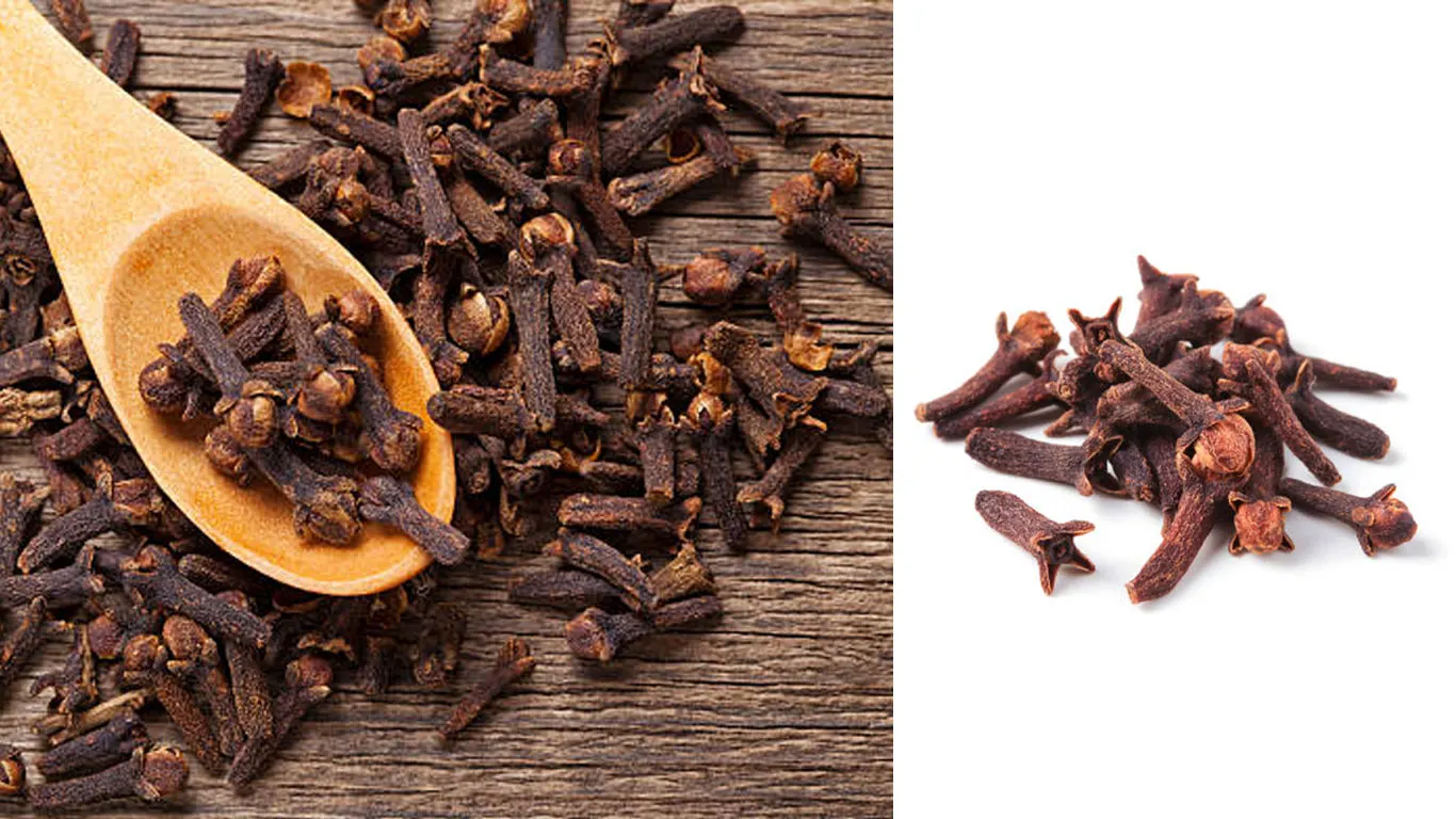 CLOVE-BENIFITS-MALAYALAM