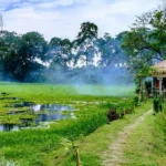 ASSAM-MAJULI-TRIP-TIPS