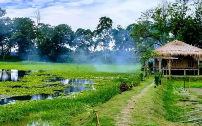 ASSAM-MAJULI-TRIP-TIPS