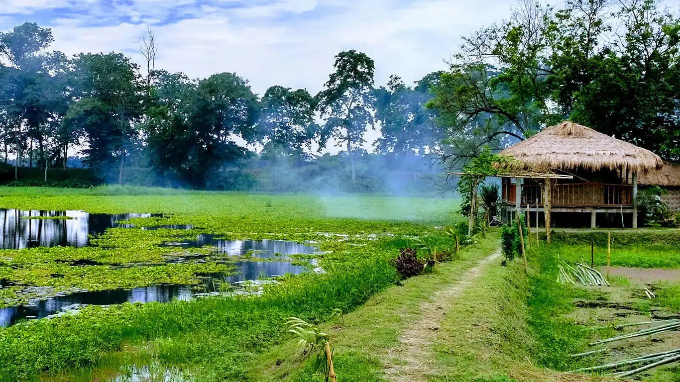 ASSAM-MAJULI-TRIP-TIPS