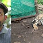 “കാഴ്ചശക്തിയില്ലാത്ത കടുവക്കുഞ്ഞായ മംഗളയെ സ്നേഹത്തോടെ വളർത്തുന്ന പെരിയാർ ടൈഗർ റിസർവിലെ വാച്ചർ റോയ്”