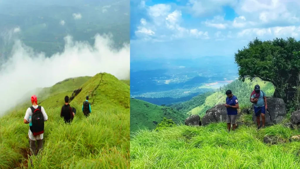 “വയനാടിന്റെ മറഞ്ഞിരിക്കുന്ന സൗന്ദര്യം: കാടും മലയും കാണാൻ 5 സ്പോട്ടുകൾ”