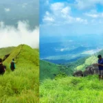 Wayanadയിലെ കാടുകളും മലനിരകളും നിറഞ്ഞ മനോഹരമായ പ്രകൃതി ദൃശ്യം