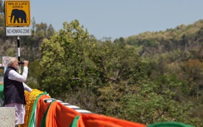 RAJAJI-NATIONAL-PARK-NEW-EXPRESS-WAY