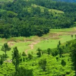 munnar-entry-fee-locations