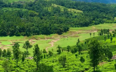 munnar-entry-fee-locations
