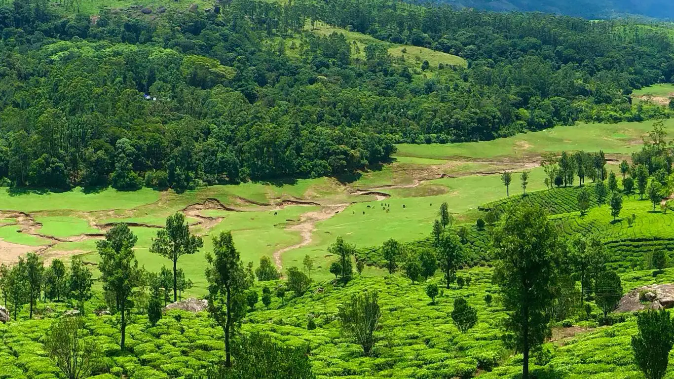 munnar-entry-fee-locations