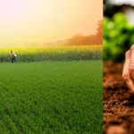 NAVO-DHAN-PROJECT-DETAILS