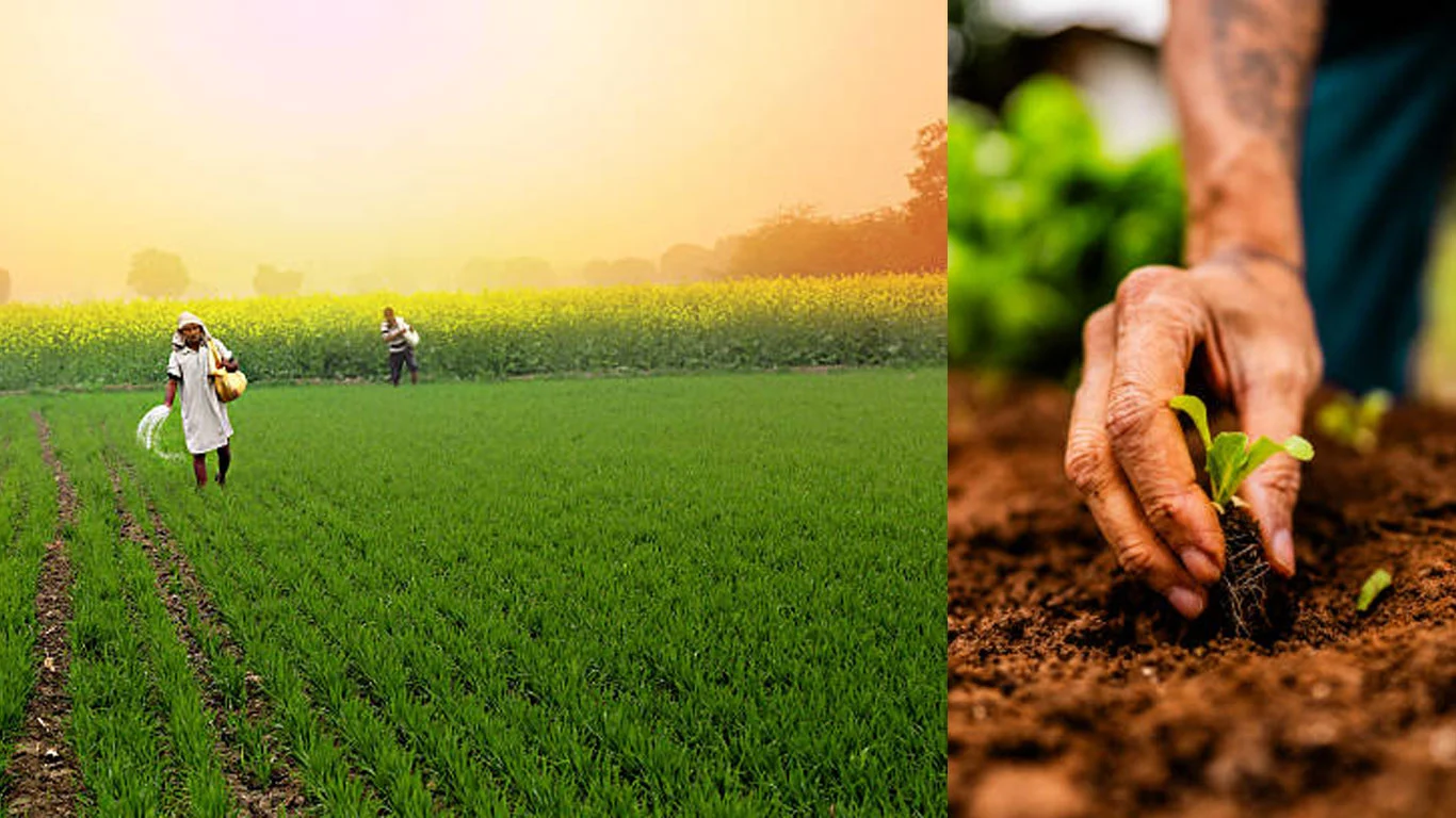 NAVO-DHAN-PROJECT-DETAILS