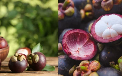 MANGOSTEEN-FERTILISING-AND-MARKETING