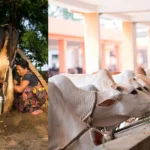 pashu-oushadhi-project-details-malayalam